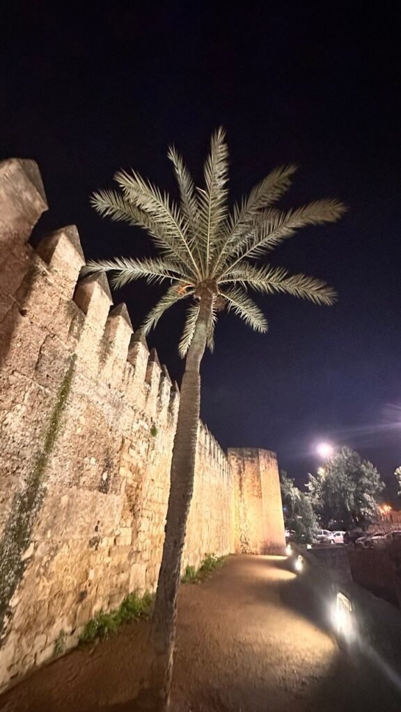 Stone city wall with a lit path and a palm tree at night